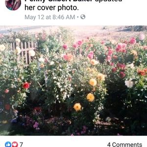 Meet your Posher, Leann